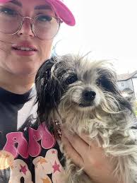 Found last night. Very sweet and loving. Please contact me if he's yours…