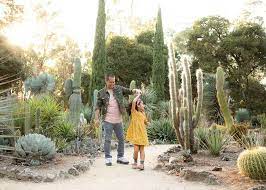 Share photos and videos, send. Family Session In Arizona Cactus Garden At Stanford University Aika Cardin Com