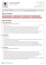 Accountant Resume Writing Guide Example For 2021
