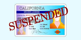 We did not find results for: Suspended License Car Insurance Home Facebook