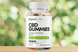 cbd oil or gummies orlandl fl