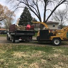 Maybe you would like to learn more about one of these? Nicholas Tree Care The Tree Company That Cares
