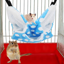 Welcome to diamond chinchillas, i am a hobby breeder from the beautiful british columbia, we have just moved recently from ontario, and we are now located in richmond, bc. Buy Pet Hammock Easy To Clean Hamster Hammock Small Pets Chinchilla Sugar Glider For Hamster At Affordable Prices Free Shipping Real Reviews With Photos Joom