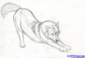 How To Draw A Realistic Wolf Step By Step Realistic Drawing Technique Free Online Drawing Tutorial Added By Fin Wolf Drawing Wolf Drawing Easy Wolf Sketch