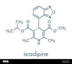 Image result for Isradipine