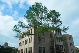 Building History and Description