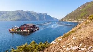 See insights on grieg seafood including office locations, competitors, revenue, financials, executives, subsidiaries and more at craft. Ck Swingtrading Idee Grieg Seafood As Cashkurs Com Unabhangige News Aus Wirtschaft Finanzen Und Politik