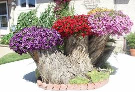 Instead of just living an unattractive tree stump, incorporate it into your landscape by covering it. How To Make A Tree Stump Planter Garden Lovers Club
