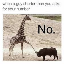 You don't have to go very far for kisses! Why Short Girls Don T Want To Date Short Guys Betches