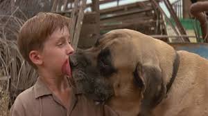 Love The Beast From Sandlot Sandlot Dog English Mastiff Dog Person