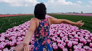 Check spelling or type a new query. Keukenhof Kebun Bunga Tulip Belanda Terindah Di Musim Semi Travel Diary