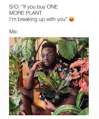 Plant People Welcome On Instagram C Ya Follow Officialplantmemes Botanical Blackman Plantmom Pla Plant Jokes Secret Life Of Plants Plants