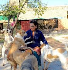 We did not find results for: 8 Places Every Pet Lover Should Donate To Mashion
