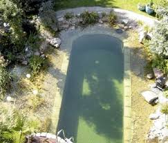 10 Eco Friendly Natural Swimming Pools Natural Swimming Ponds Natural Pool Swimming Pond