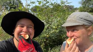 Fundraiser by Neighborhood Gardens Trust : Help Save Werner's Community  Garden