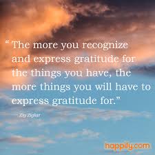 How To Double Your Baseline Of Gratitude Zig Ziglar Quotes Zig Ziglar Wisdom Quotes Funny