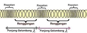 Gelombang pegas dari penjelasan diatas, dapat diketahui perbedaan gelombang transversal dan longitudinal yaitu dapat dilihat dari perbedaan jenis arah rambatnya, perbedaan bentuk gelombang dan penerapan gelombangnya. Gelombang Longitudinal Artikel Lengkap Kampung Ilmu Artikel Motivasi Motivasi Belajar Materi Pelajaran