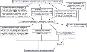 How many straight guys have given head to a guy? The Contrasting Evidence Concerning The Effect Of Male Circumcision On Sexual Function Sensation And Pleasure A Systematic Review Sciencedirect