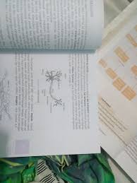 Epilepsi adalah kelainan pada sel saraf di otak hingga penderita tidak bisa merespon berbagai rangsangan. Gambarkan Sel Saraf Manusia Beserta Bagian Bagiannya Dan Fungsinya Masing Masing Brainly Co Id