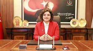Emine alp meşe'nin atanması hakkında karar (karar sayısı: Cbghrflzlmq5bm