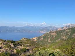 En este golfo se encuentra la ciudad de porto, sobre la costa occidental de la isla, entre la ciudad de. L Aiglon Prices Lodging Reviews Serriera France Tripadvisor