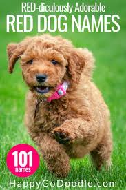 111 Red Dog Names That Are Red Iculously Adorable Puppy Names Dog Names Boy Dog Names