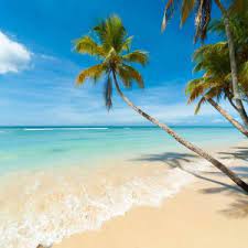 Atas nikmat yang telah kami akan memberikan berbagai jenis gambar pemandangan alam yang cantik mulai dari,gunung,pedesaan,pantai,air terjun,sunset,dan bawah laut. Pemandangan Pantai Cantik Dengan Tema Pokok Kelapa Azhan Co