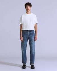 Image result for Sutera levis