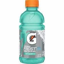 Gatorade Frost Thirst Quencher Arctic Blitz 12 Ounce Bottles Pack Of 24 Ebay Gatorade Bottle Sports Drink