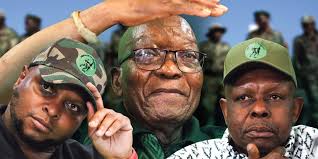 MK party's year of living dangerously