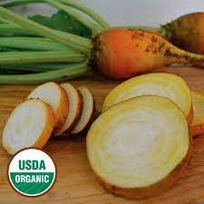 We did not find results for: Yellow Intermediate Mangel Beet Organic Seed Savers Exchange