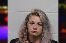 Danielle Lumpkin — Habersham County Jail Bookings