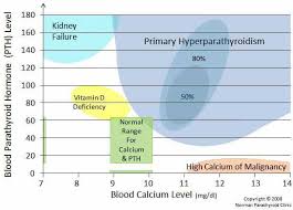 Pin On Parathyroid Disease