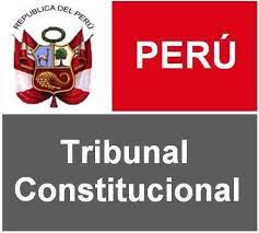 El tribunal constitucional es un organismo creado por la constitución del 26 de enero 2010, con el propósito de garantizar tres aspectos esenciales: Konrad Adenauer Stiftung Programa Estado De Derecho America Latina