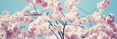 Popular spring fitness running training sportswear of good quality and at affordable prices you can buy on aliexpress. 10 Ways To Spring Clean Your Fitness Routine Runnin For Sweets