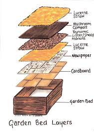 How To Make Raised Garden Beds For Vegetables The Greening Of Gavin Making Raised Garden Beds Raised Vegetable Gardens Diy Raised Garden