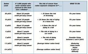 Radon Risk Non Smoker Home Inspections