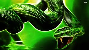Jul 08, 2007 at 2:23pm. Cool Green Snake Background 1920x1080 Wallpaper Teahub Io