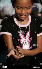 5th grader hi-res stock photography and images