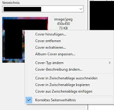 Damit hast du manuell der mp3 das cover hinzugefügt. Albumcover Ersetzen Vorschlage Mp3tag Community