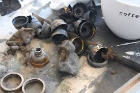 Inside the Artist's Studio with Cassidy Schulz Brush