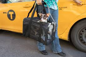 Fully adjustable to your needs! The Best Travel Carrier For Cats And Small Dogs Reviews By Wirecutter