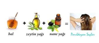 Honey Olive Oil Peppermint Oil Mask For Dry Damaged Hair Honey Kuru Yipranmis Saclar Icin Bal Zeytinya Honey Hair Dry Damaged Hair Damaged Hair