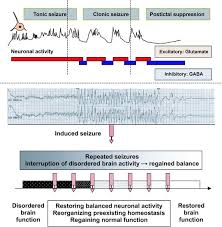 Scientific And Experimental Bases Of Electroconvulsive