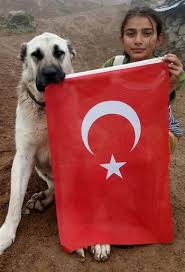 Cumhurbaskani Erdogan Hamdu Sena Yi Davet Etti Kangal Kopegi Kopek Hayvan Yavrulari