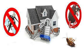 Ehrlich specialists are experts in cockroach prevention and cockroach control. Pest Control Book Pest Control Services In Pune At Best Price Urban Pest Care
