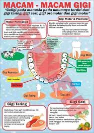 Apa yang anda perlu ketahui. 21 Poster Kesehatan Gigi Dan Mulut Sehat Ideas Gigi Poster Advertising