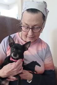 Small senior dog rescue for a companion