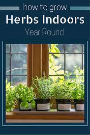Find Out How To Grow Herbs Indoors Year Round Herbs Indoors Growing Herbs Indoor Herb Garden