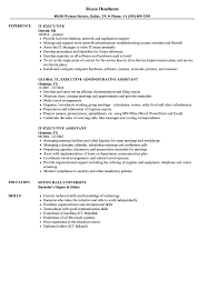 It Executive Resume Samples Velvet Jobs